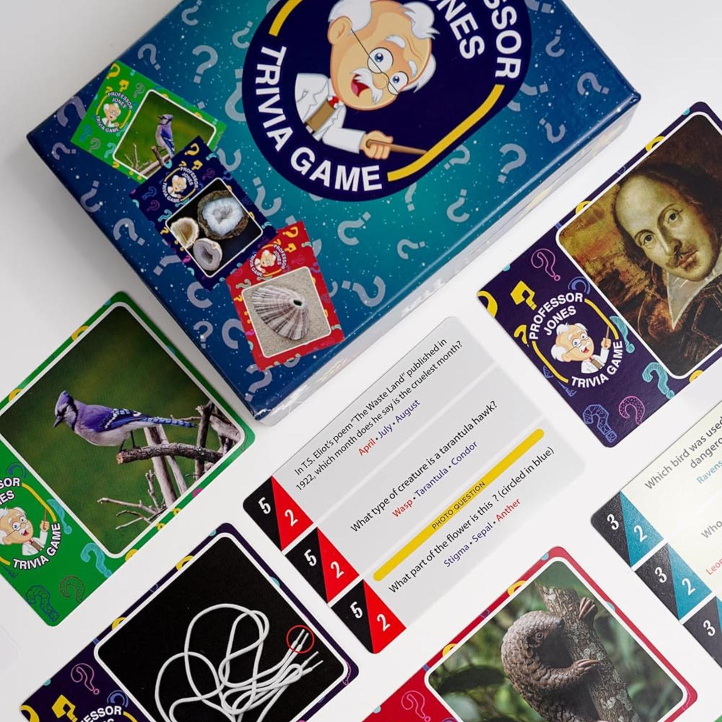 Professor Jones Trivia Game: The Visual Knowledge Challenge!